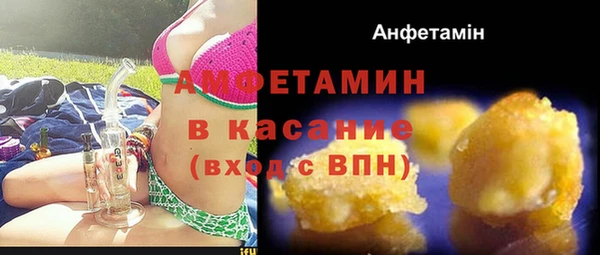 шишки Баксан