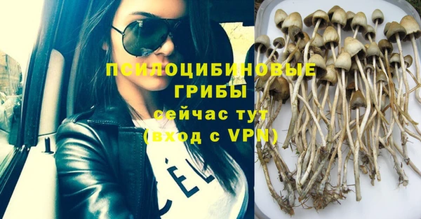 шишки Баксан
