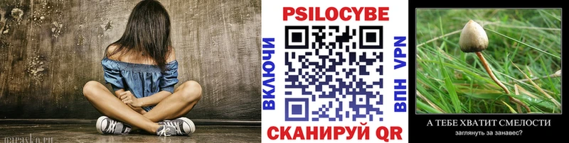 Псилоцибиновые грибы прущие грибы  Городец 