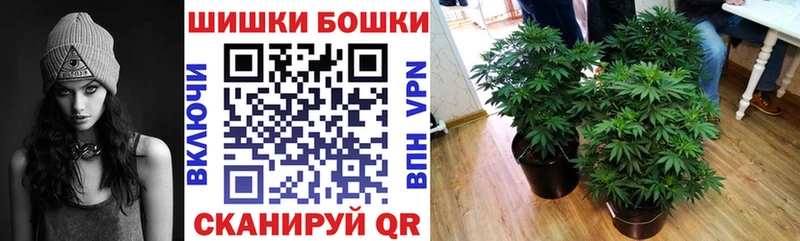 закладки  Городец  МЕГА ссылка  Каннабис семена 